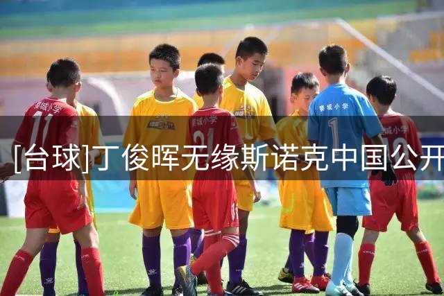 [台球]丁俊晖无缘斯诺克中国公开赛第二轮